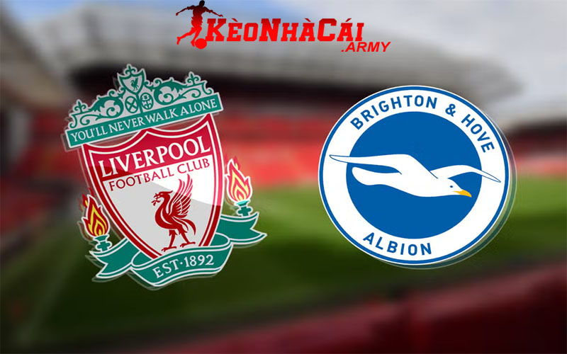 0 ava liv vs bri Soi Kèo Liverpool vs Brighton - Vòng 10 NHA 22h00 2/11